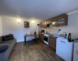 Maison 6 chambres à vendre dans Cluj-napoca