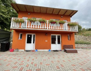 Maison 6 chambres à vendre dans Cluj-napoca