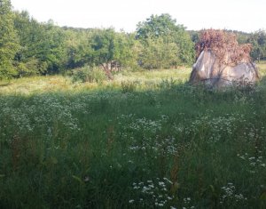 , 804m2 on Cluj-napoca, Zóna Faget