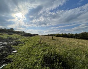 Telek eladó on Cluj-napoca, Zóna Faget