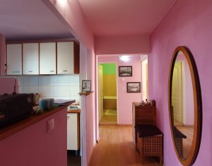 Appartement 2 chambres à vendre dans Cluj-napoca, zone Intre Lacuri