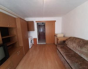 Appartement 1 chambres à vendre dans Cluj-napoca, zone Iris