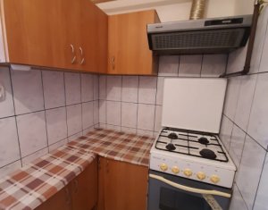 Appartement 1 chambres à vendre dans Cluj-napoca, zone Iris