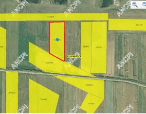 Telek eladó on Cluj-napoca, Zóna Iris