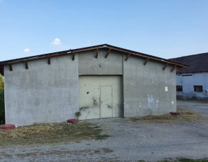 Industrial space for sale in Sancraiu
