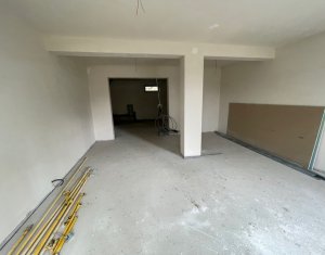 Maison 6 chambres à vendre dans Floresti