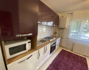 Appartement 1 chambres à louer dans Cluj-napoca, zone Manastur