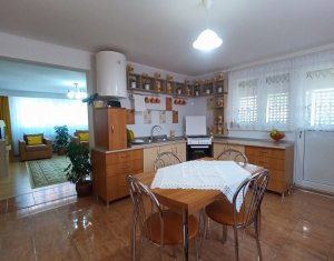 Maison 4 chambres à vendre dans Apahida