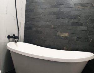 Appartement 2 chambres à louer dans Cluj-napoca