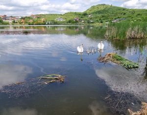 Maison 4 chambres à vendre dans Cluj-napoca, zone Iris