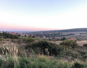 Telek eladó on Chinteni