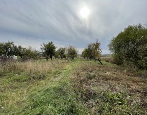 Telek eladó on Cluj-napoca