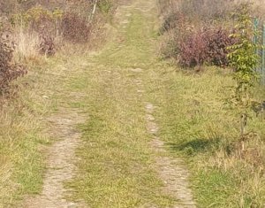 Terrain à vendre dans Cluj-napoca, zone Buna Ziua