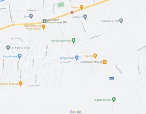 Terrain à vendre dans Floresti