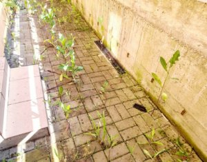 Lakás 3 szobák eladó on Floresti