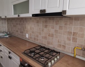 Appartement 1 chambres à louer dans Cluj-napoca, zone Marasti