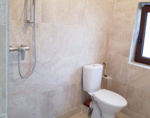 Maison 4 chambres à vendre dans Cluj-napoca, zone Borhanci