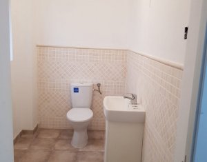 Maison 4 chambres à vendre dans Cluj-napoca, zone Borhanci