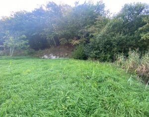 Terrain à vendre dans Cluj-napoca