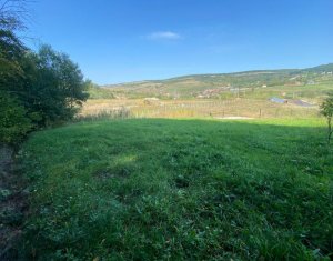 Terrain à vendre dans Cluj-napoca
