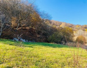 Terrain à vendre dans Cluj-napoca
