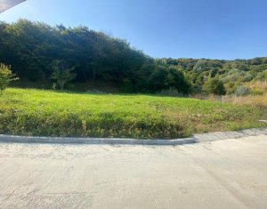 Terrain à vendre dans Cluj-napoca