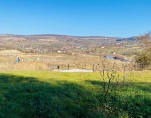 Terrain à vendre dans Cluj-napoca