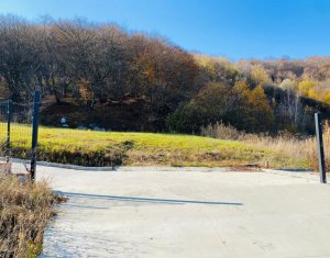 Terrain à vendre dans Cluj-napoca