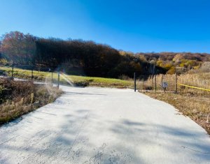 Terrain à vendre dans Cluj-napoca