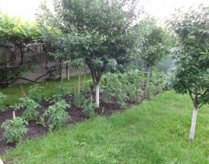 Ház 2 szobák eladó on Cluj-napoca, Zóna Dambul Rotund