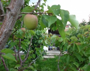 , 77.2m2 on Cluj-napoca, Zóna Dambul Rotund