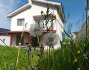 Ház 4 szobák eladó on Dezmir, Zóna Centru