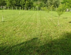 Ház 4 szobák eladó on Corusu