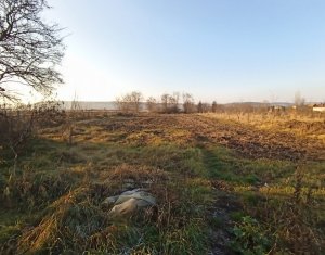 , 3200m2 on Jucu De Mijloc