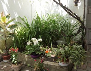 Maison 5 chambres à vendre dans Cluj-napoca, zone Centru