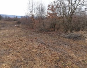 , 1600m2 on Cluj-napoca, Zóna Faget