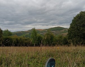 Telek eladó on Baisoara