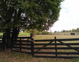 Telek eladó on Baisoara