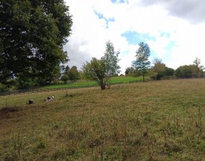 Telek eladó on Baisoara