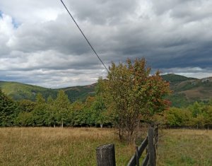 Telek eladó on Baisoara