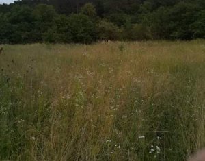 Telek eladó on Iclozel, Zóna Centru