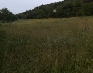 Telek eladó on Iclozel, Zóna Centru