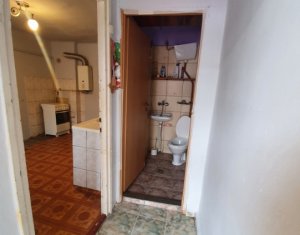 Appartement 1 chambres à vendre dans Cluj-napoca, zone Iris