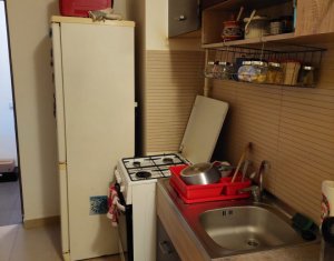 Appartement 1 chambres à louer dans Cluj-napoca, zone Iris