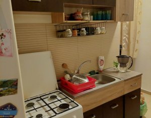 Appartement 1 chambres à louer dans Cluj-napoca, zone Iris