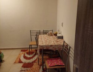 Appartement 1 chambres à louer dans Cluj-napoca, zone Iris