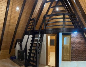 Maisons de vacances à vendre dans Valea Ierii