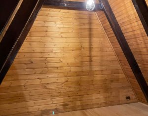 Maisons de vacances à vendre dans Valea Ierii