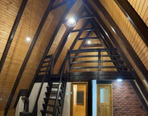 Maisons de vacances à vendre dans Valea Ierii