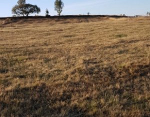 Telek eladó on Marisel